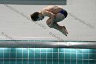 Swimming & Diving vs RWU  Swimming & Diving vs Roger Williams University. - Photo by Keith Nordstrom : Wheaton, Swimming